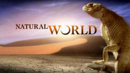 Natural World