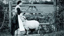 Far from the Madding Crowd