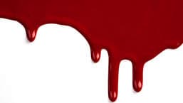 Fresh Blood