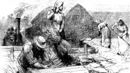 Tess of the D'Urbervilles