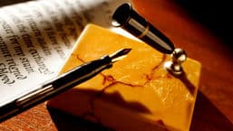 The Essay