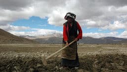 A Year in Tibet