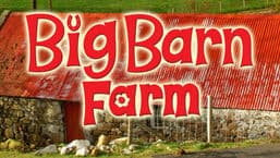 Big Barn Farm