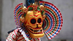 A Year in Tibet
