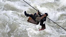 Wild China