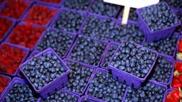 Farming Today