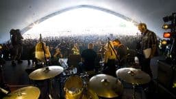 Jo Whiley