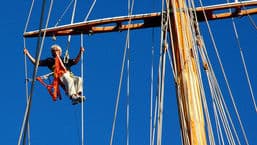 Francesco's Mediterranean Voyage