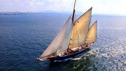 Francesco's Mediterranean Voyage