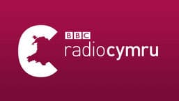 C2: Radio Maffia