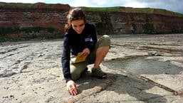 Fossil Detectives
