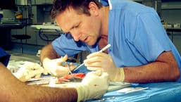 Blood and Guts: A History of Surgery