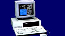 The Essay