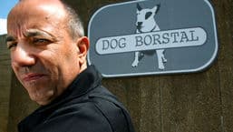 Dog Borstal