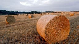 Farming Today
