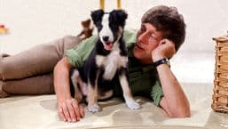 Blue Peter