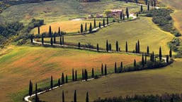 Italianissimo