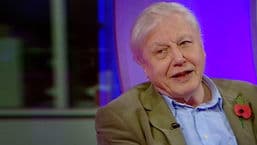 The One Show