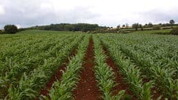 Farming Today