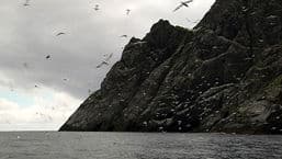 Trusadh