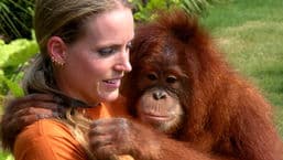 Animals at Work