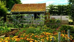Gardeners' Question Time