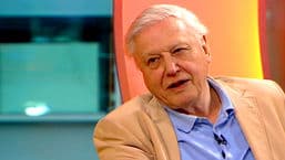 The One Show