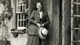 The Beatrix Potter Guide to Business