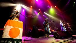 WOMAD