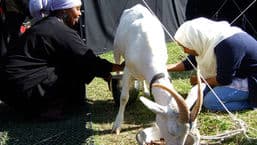 On Your Farm