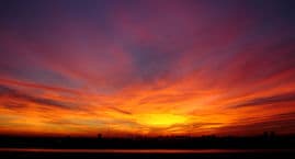 Morning Reports
