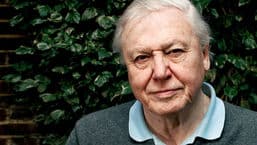 Radio 4 Appeal
