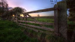 Farming Today