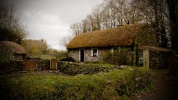 Short Stories by John McGahern