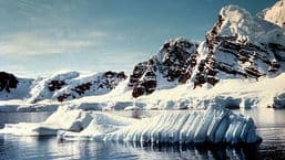 Newsnight