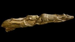 A History of the World in 100 Objects