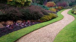 Gardeners' Question Time