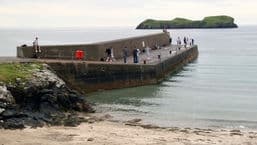 Trusadh