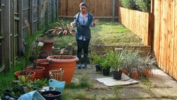 Gardeners' Question Time