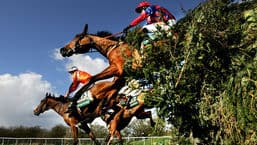 The Grand National
