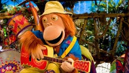 ZingZillas