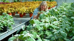 Gardeners' Question Time