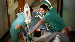 Holby City