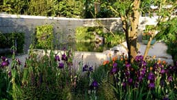 RHS Chelsea Flower Show