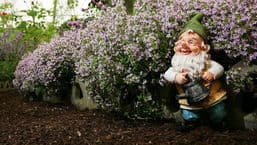 RHS Chelsea Flower Show