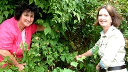 Gardeners' Question Time