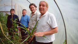 Gardeners' Question Time