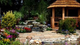 RHS Show Tatton Park