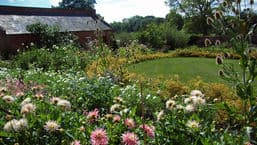 Gardeners' Question Time