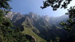 Natural World